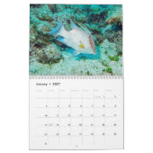 Calendrier sous-marin — Roatan, Honduras (Jan 2027)