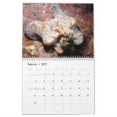 Calendrier sous-marin — Roatan, Honduras (Feb 2027)