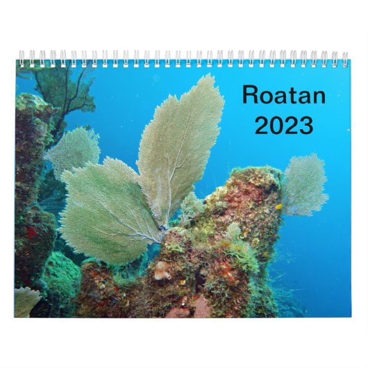Calendrier sous-marin — Roatan, Honduras (Protection)