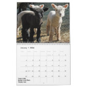 Calendrier Southdown de 2018 de NABSSAR moutons de (Jan 2026)