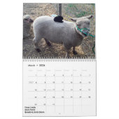 Calendrier Southdown de 2018 de NABSSAR moutons de (Mar 2026)