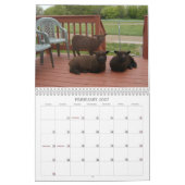 Calendrier Southdown des moutons 2012 NABSSAR de (Feb 2027)