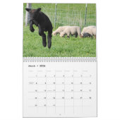 Calendrier Southdown des moutons 2013 NABSSAR de (Mar 2026)