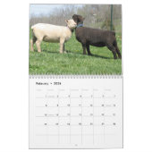 Calendrier Southdown des moutons 2013 NABSSAR de (Feb 2026)