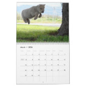 Calendrier Southdown des moutons 2014 NABSSAR de (Mar 2026)