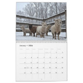 Calendrier Southdown des moutons 2014 NABSSAR de (Jan 2026)