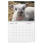 Calendrier Southdown des moutons 2016 NABSSAR de (Feb 2026)