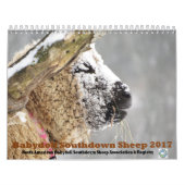 Calendrier Southdown des moutons 2017 NABSSAR de (Protection)