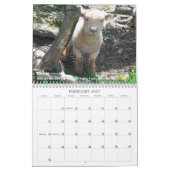 Calendrier Southdown des moutons 2017 NABSSAR de (Feb 2027)