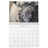 Calendrier Southdown des moutons 2017 NABSSAR de (Jan 2027)