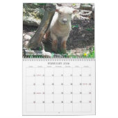 Calendrier Southdown des moutons 2017 NABSSAR de (Feb 2026)