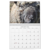 Calendrier Southdown des moutons 2017 NABSSAR de (Jan 2026)