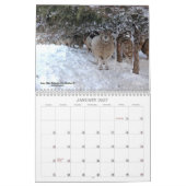Calendrier Southdown des moutons 2019 NABSSAR de (Jan 2027)