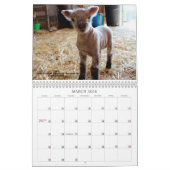 Calendrier Southdown des moutons 2019 NABSSAR de (Mar 2026)