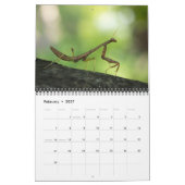 CALENDRIER "SPÉCIAL" DE 2013 INSECTES PAR DES (Feb 2027)