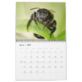 CALENDRIER "SPÉCIAL" DE 2013 INSECTES PAR DES (Mar 2027)