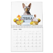 Calendrier Sphynx Cat 2025 | Chatons sans cheveux  (Jan 2026)