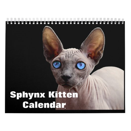 Calendrier Sphynx Kitten 2025 (Protection)