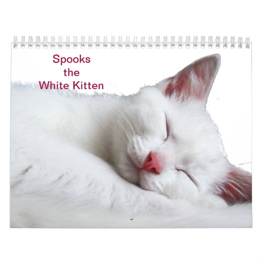 CALENDRIER SPOOKS LE CHATON BLANC - CALLENDER (Protection)
