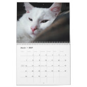 CALENDRIER SPOOKS LE CHATON BLANC - CALLENDER (Mar 2027)