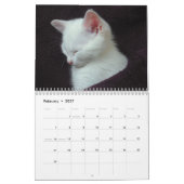 CALENDRIER SPOOKS LE CHATON BLANC - CALLENDER (Feb 2027)