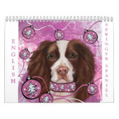 CALENDRIER SPRINGER SPANIEL ANGLAIS  (Protection)