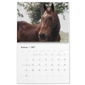 Calendrier Sprout 2025 (Feb 2027)