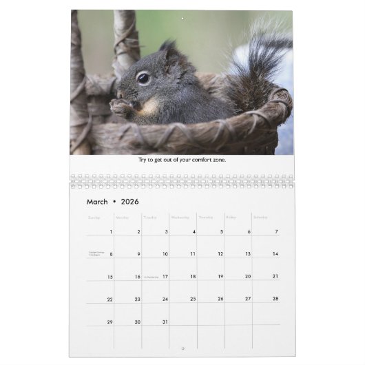Calendrier Squiggy the Squirrel Inspational Wall Calendar (Mar 2026)