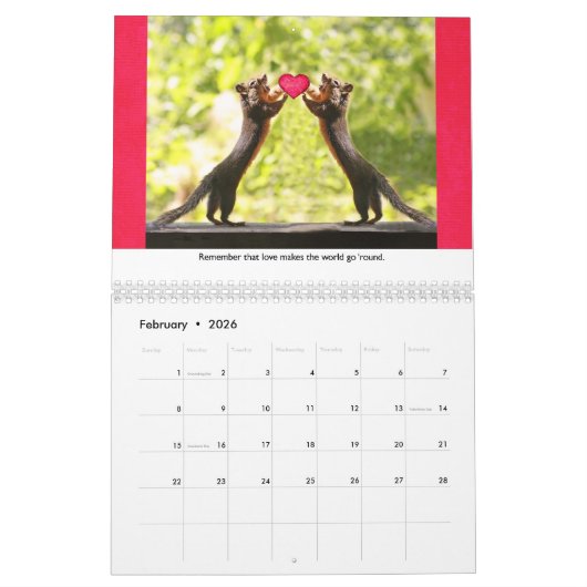 Calendrier Squiggy the Squirrel Inspational Wall Calendar (Feb 2026)