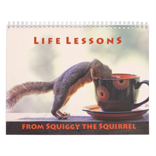 Calendrier Squiggy the Squirrel Inspirational Wall Calendar (Protection)