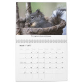 Calendrier Squiggy the Squirrel Inspirational Wall Calendar (Mar 2027)