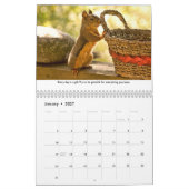 Calendrier Squiggy the Squirrel Inspirational Wall Calendar (Jan 2027)