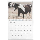 Calendrier Stallions des pics McCullough (Mar 2027)