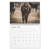 Calendrier Stallions des pics McCullough (Feb 2027)