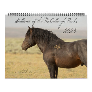 Calendrier Stallions des pics McCullough