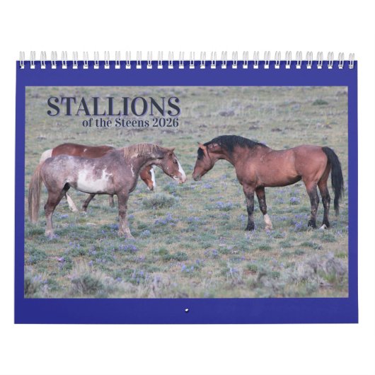 Calendrier "Stallions" MustangWild 2026 Calendar (Protection)