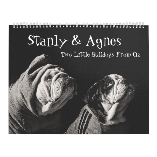 Calendrier Stanly & Agnes - Deux Petits Bulldogs D'Oz (Protection)