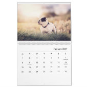 Calendrier Stanly & Agnes - Deux Petits Bulldogs D'Oz (Feb 2027)