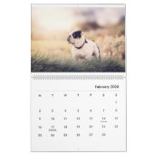 Calendrier Stanly & Agnes - Deux Petits Bulldogs D'Oz (Feb 2026)