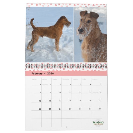 Calendrier Stirling Irish Terriers 2022 (Feb 2026)