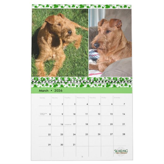 Calendrier Stirling Irish Terriers 2022 (Mar 2026)