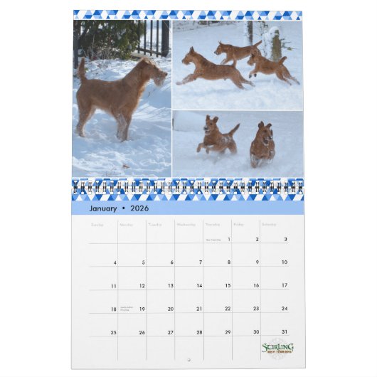 Calendrier Stirling Irish Terriers 2022 (Jan 2026)