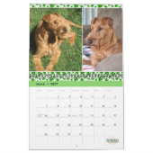 Calendrier Stirling Irish Terriers 2023 (Mar 2027)