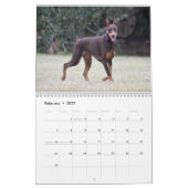 Calendrier Strictly Dobermans Calendar 2026 (Feb 2027)