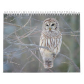 Calendrier Strix Varia de hibou barré (Protection)