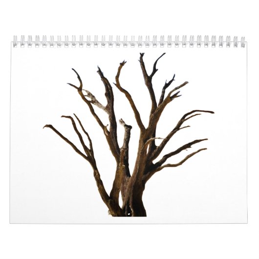 Calendrier Structure de l'arborescence (Protection)