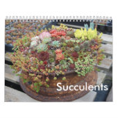 Calendrier succulent (Protection)