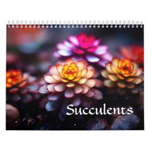 Calendrier Succulent