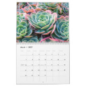 Calendrier Succulent (Mar 2027)