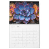 Calendrier Succulent (Jan 2027)
